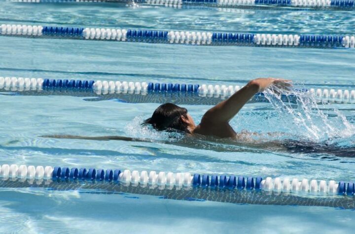 Swimming courses for adults